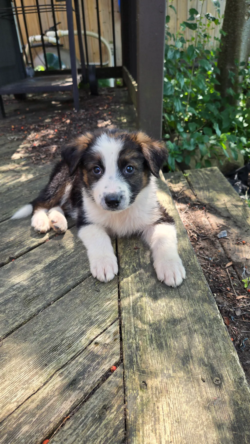 Photo of Rookie