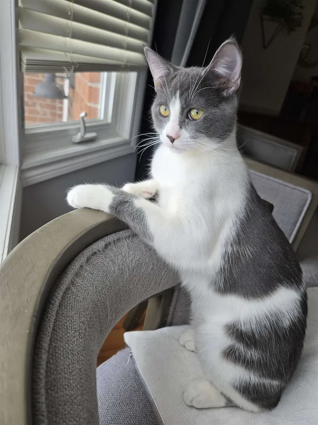 Photo 4 of Midna