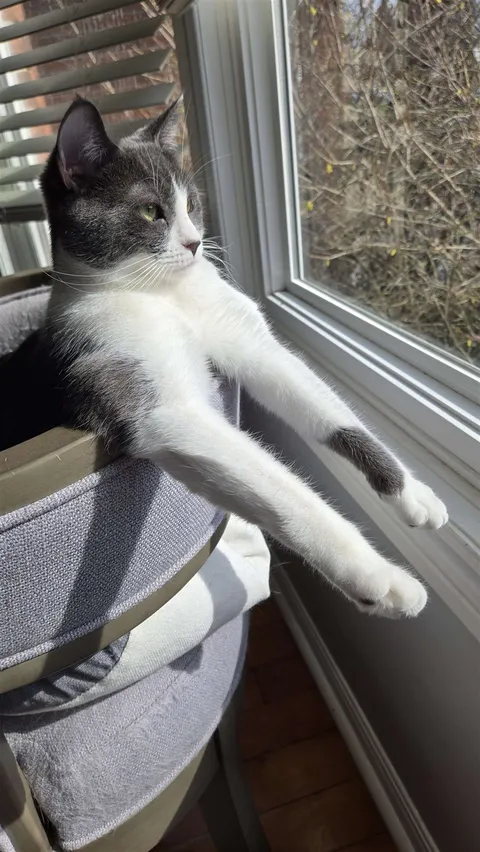 Midna's morning stretch