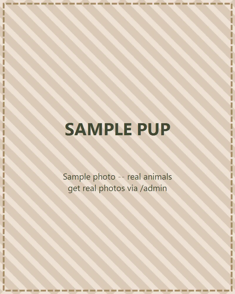 Photo of Sample Pup
